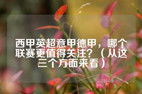 竞争者