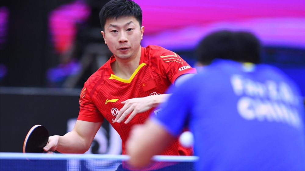 入本届主赛 入本届主赛