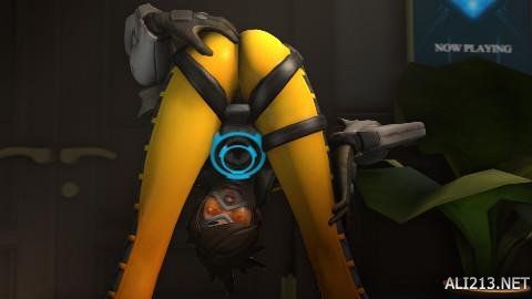 生涯季后赛 生涯季后赛