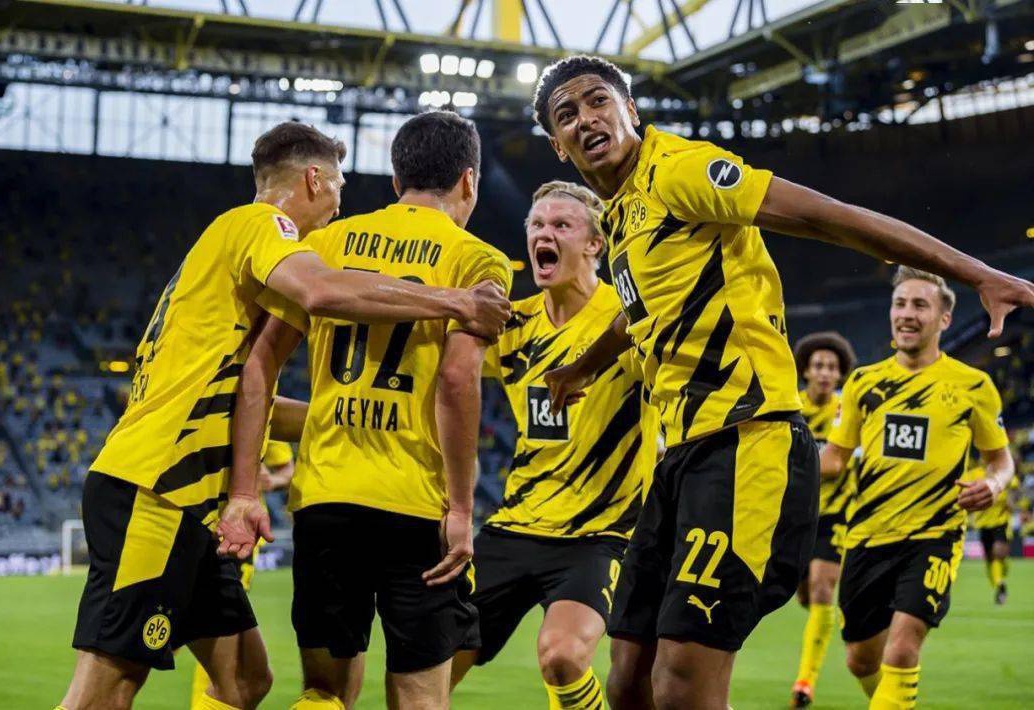 界的目光 界的目光