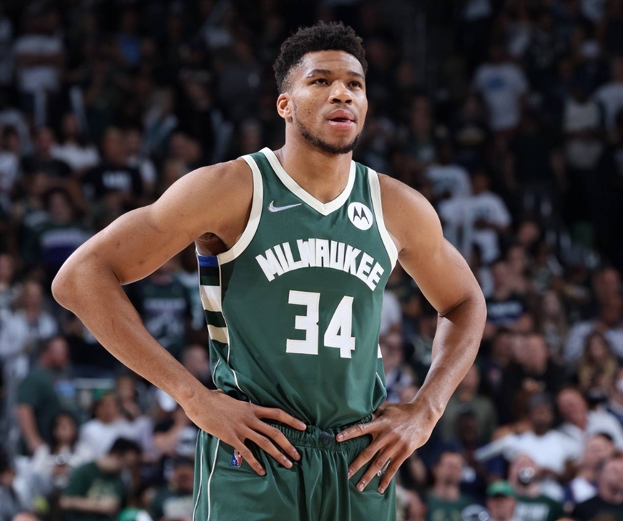 江苏挺拔队 江苏挺拔队