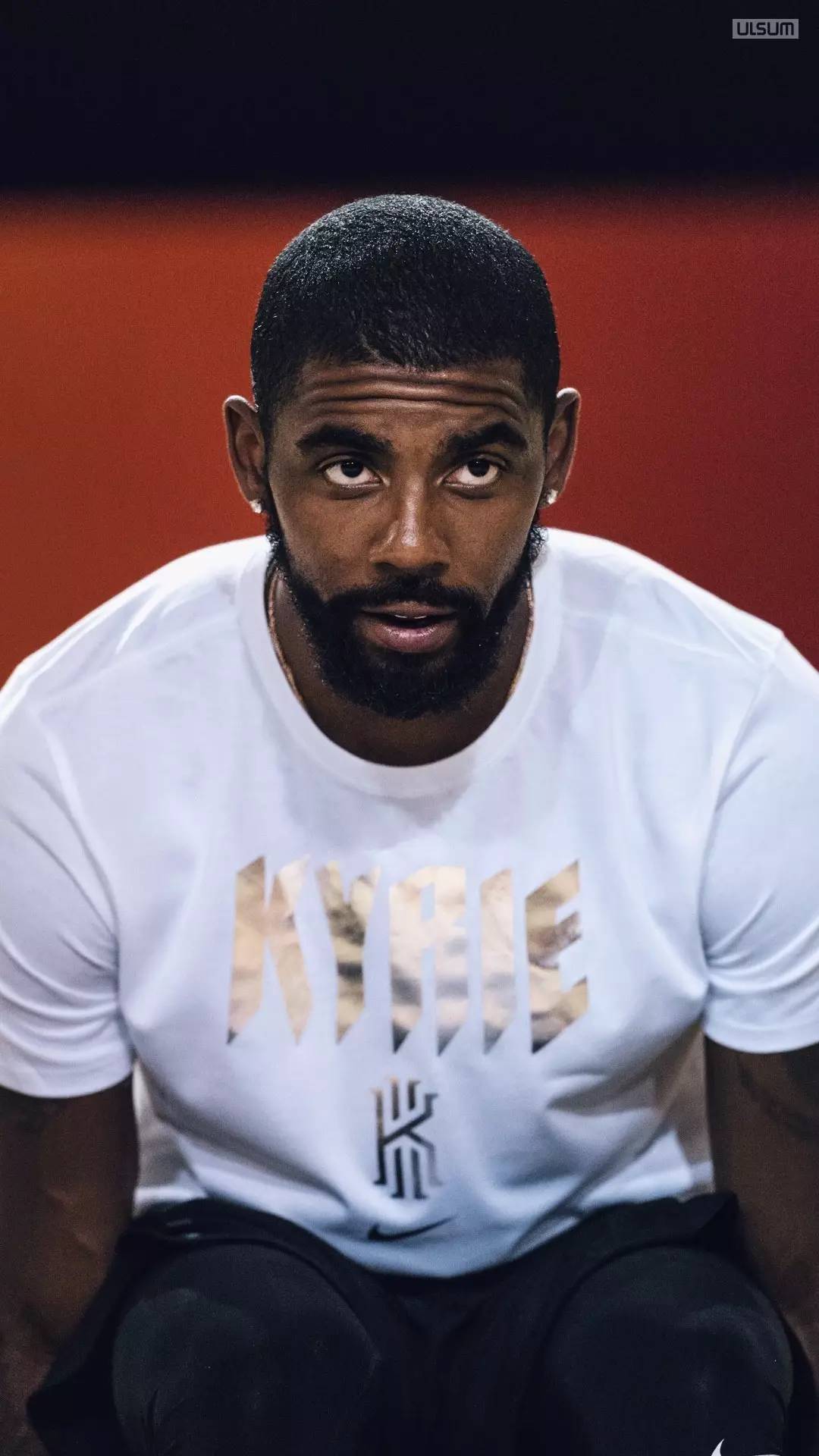 洲市场为主 洲市场为主